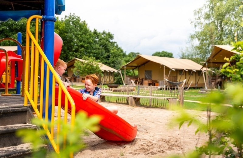 Camping met safaritenten veluwe