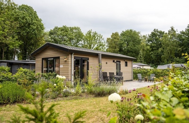 Huisje veluwe met hond