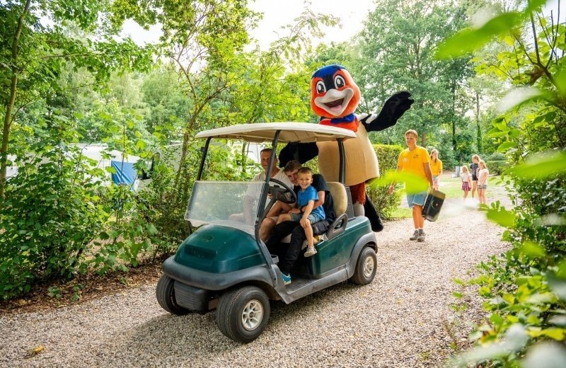 Kindvriendelijke vakantie veluwe vinkenkamp