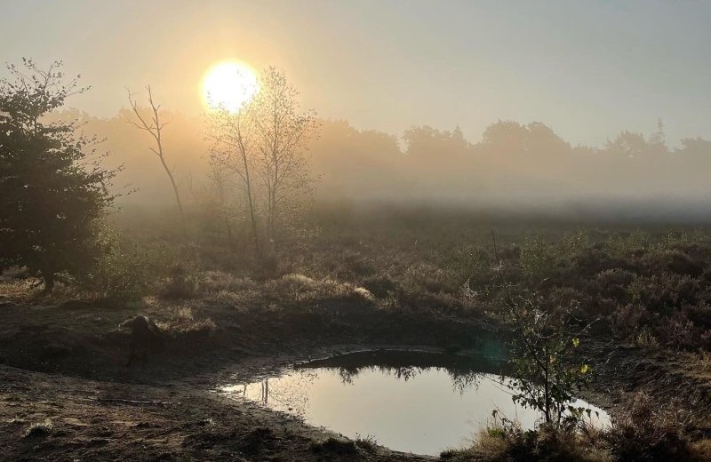 Nationaal Park De Hoge Veluwe